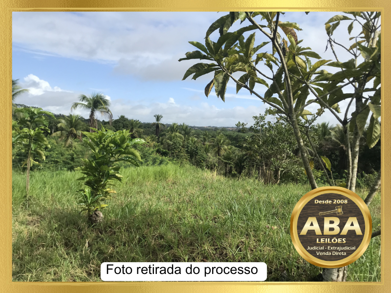 01 (uma) propriedade rural denominada Sítio Alagoinhas, onde funcionou um balneário, medindo aproximadamente 6,00 (seis) tarefas