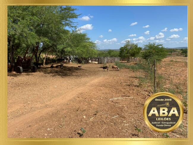 Imóvel rural “Fazenda São José”, localizada na localidade Barreiro Fundo, povoado Palestina – Gararu/SE, localizado em Gararu - SE