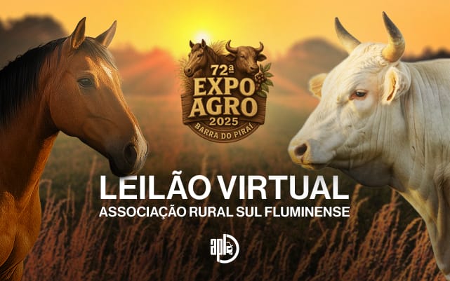 Capa do leilão ID 138
