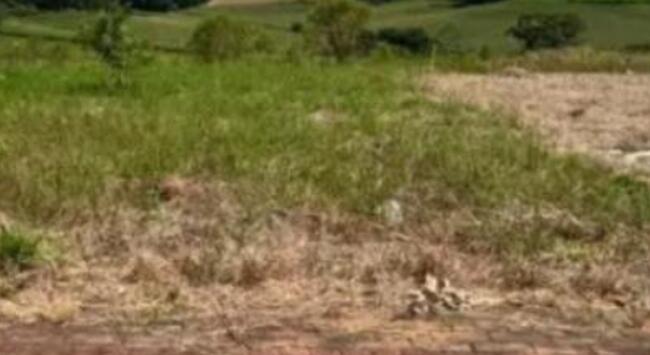 Comprei (PGFN): Parte de terra destacada da Fazenda Lagoa, com aproximadamente 7 hectares de área total, em São Simão - GO