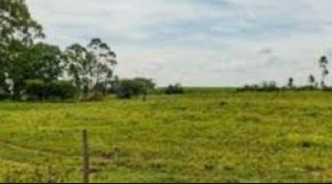 Comprei (PGFN): Terreno com área total de 8.032,05 m², situado no lugar Itapiracó, na Avenida Joaquim Mochel, n° 99 que tomou o n° 99-C, em São José de Ribamar - MA