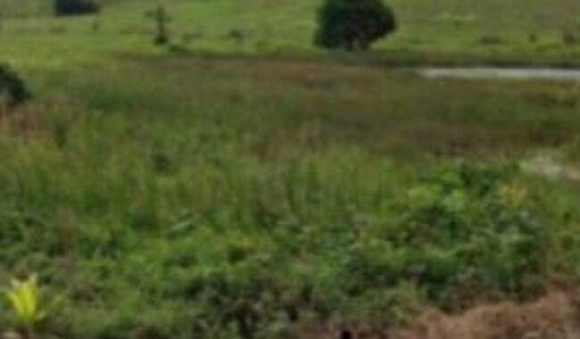Comprei (PGFN): Terreno com área total de 1.080,00m², Terras do Euzébio, Aquiraz - CE