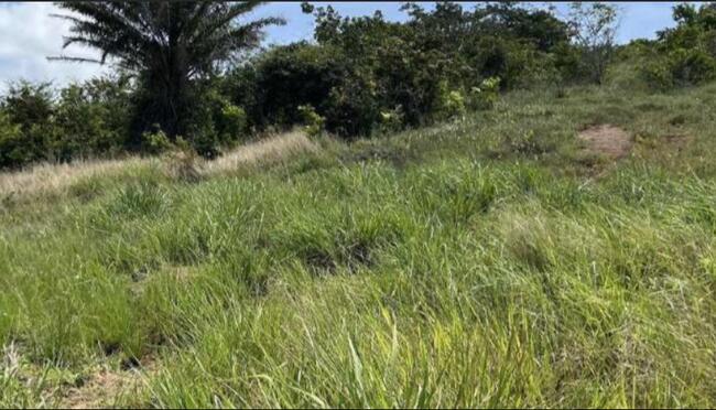 Comprei (PGFN): Uma área de terra, com 95,1 hectares de área total, encravada no Sítio Santo Antonio, lugar barriguda, denominada de "Altamira", distrito de Marruás, Tauá - CE