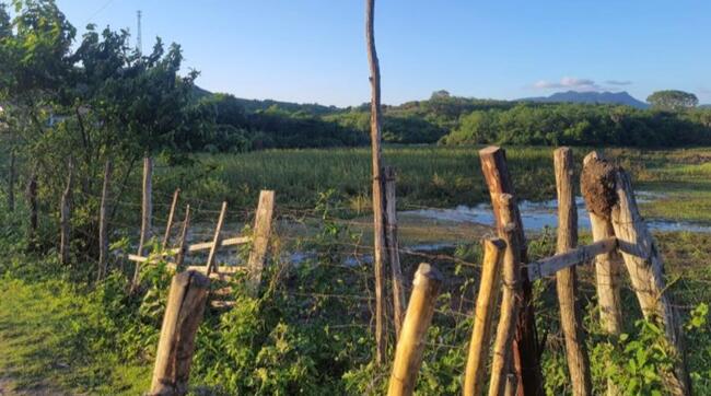 Comprei (PGFN): Terreno, com 30 hectares de área total, situado na Rodovia CE-065, Distrito de Umarizeiras, Maranguape, CE