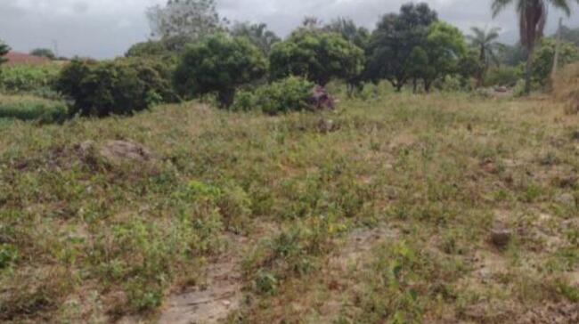 Comprei (PGFN): Uma área de terra urbana com 13,23 hectares, no sítio Estrela, Barbalha - CE