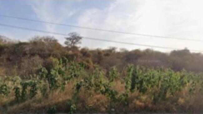 Comprei (PGFN): Uma gleba de terra com 25 hectares, localizada na cidade de Araripina - PE