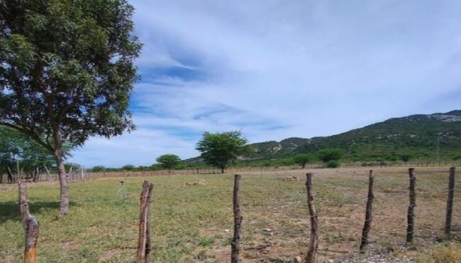 Comprei (PGFN): Sítio Caeira, com área total 11,597,17 m², zona rural, Jucurutu-RN