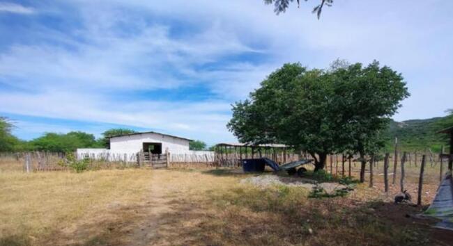 Comprei (PGFN): Imóvel rural com 76,37 hectares de área total, localizado na cidade de Sertania - PE