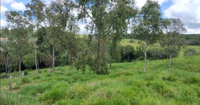 Comprei (PGFN): Uma área de 2,11 hectares , localizada lado do Córrego Espraiado, Três Corações, MG