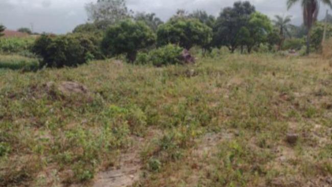 Comprei (PGFN): Imóvel rural, com 25 hectares de área total, denominado de Fazenda Sagitário, localizado na Região do Cônego de Boa Vista, Encruzilhada - BA