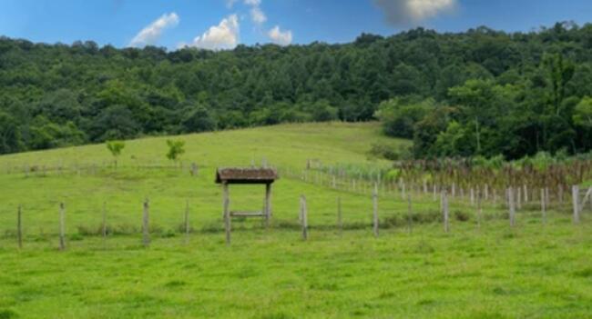 Comprei (PGFN): Imóvel rural, denominado Fazenda Bonsucesso, com 1.452.00.00 hectares de área total, localizado no município de Niquelandia - GO