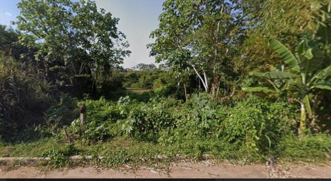 Comprei (PGFN): Terreno localizado na esquina da Rua das Margaridas com a Rua das Samambaiais, Jardim Tropical, Rio Branco - AC
