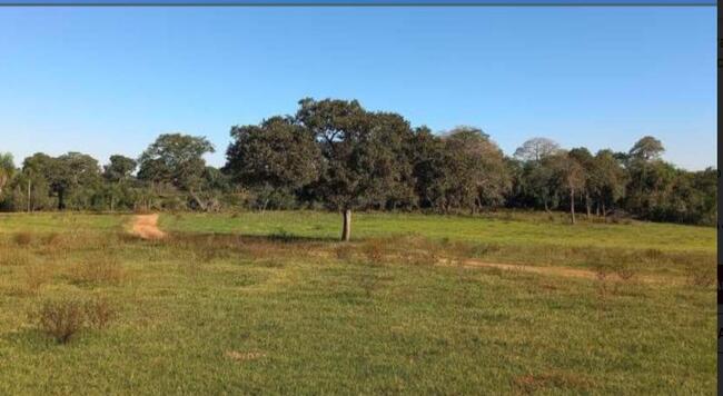 Comprei (PGFN): Imóvel rural denominado Sítio Batista, com 15 hectares de área total localizado na zona rural do município de Junco do Seridó - PB