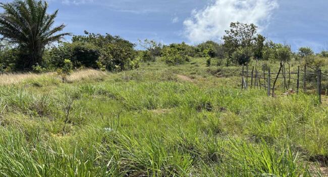Comprei (PGFN): Uma área rural com 10 hectares, desmembrada do imóvel Fazenda Cabeça da Vaca, localizada no 1º distrito do município de Floresta - PE