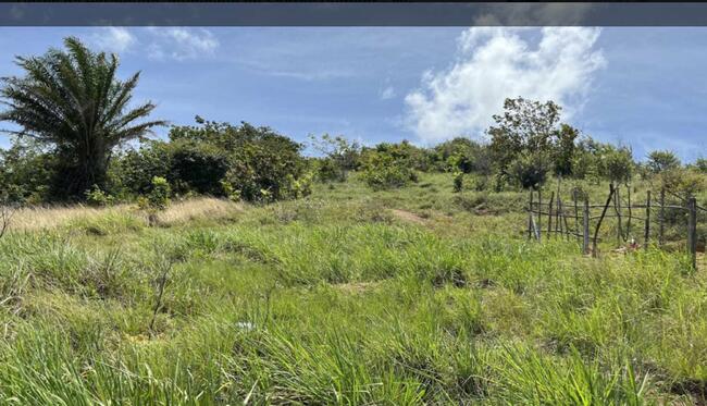 Comprei (PGFN): Uma área contendo 308.96.72ha. de terras e benfeitorias denominada ''Fazenda Casa Nova'', situada no distrito de Dores da Paraibuna, município de Santos Dumont - MG