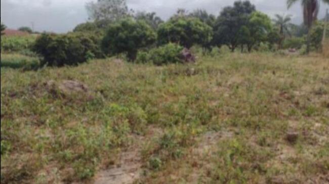 Comprei (PGFN): Imóvel rural denominado Sítio Batista, com 150,00 hectares de área total localizado na zona rural do município de Junco do Seridó - PB