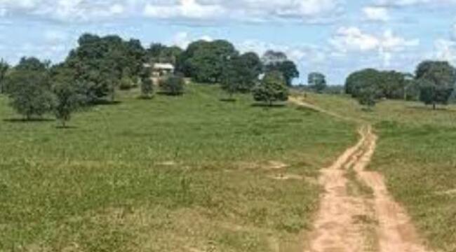 Comprei (PGFN): Imóvel rural denominado de Fazenda Gabrielly, com área total de aproximadamente 497,36 hectares, localizado no município de Brasnorte - MT