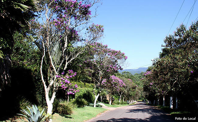 Lote Nº 06, Quadra Nº 04 Do Loteamento Capital Ville Iv, Cajamar/sp, localizado em Cajamar - SP, bairro Serra dos Lagos (Jordanésia)