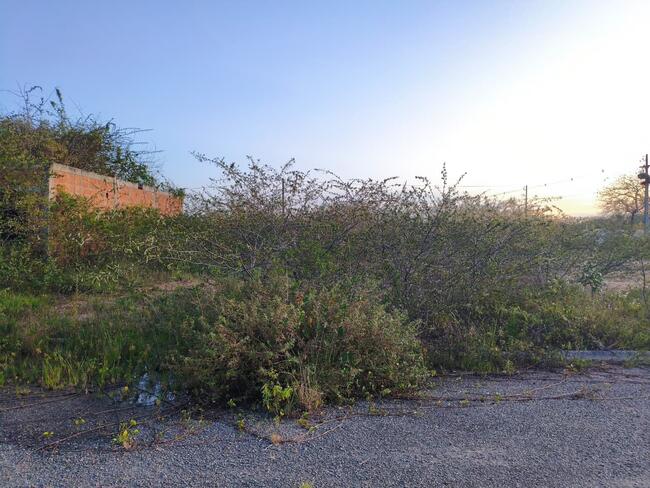 Lote Nº 02, Quadra "c" - Parque Progresso, localizado em Feira De Santana - BA, bairro Asa Branca