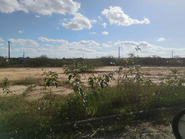 Lote Nº 42, Quadra "c" - Parque Progresso, localizado em Feira De Santana - BA, bairro Asa Branca
