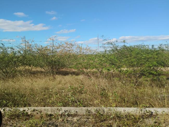 Lote Nº 54, Quadra "c" - Parque Progresso, localizado em Feira De Santana - BA, bairro Asa Branca