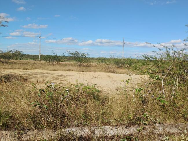 Lote Nº 55, Quadra "c" - Parque Progresso, localizado em Feira De Santana - BA, bairro Asa Branca