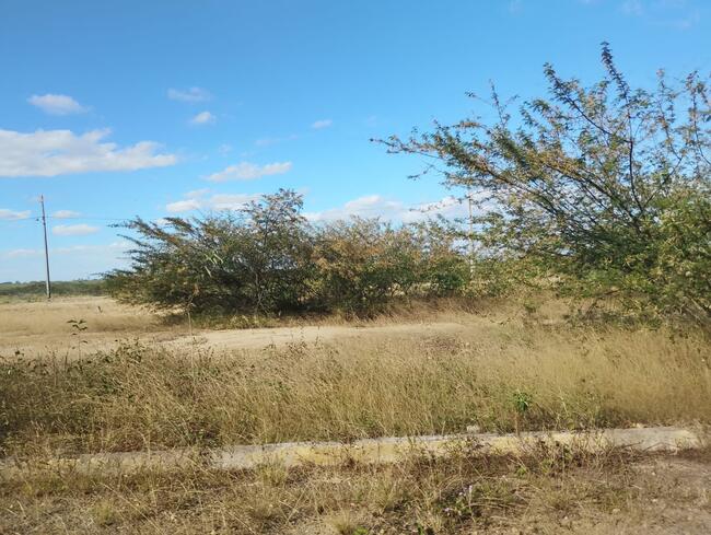 Lote Nº 57, Quadra "c" - Parque Progresso, localizado em Feira De Santana - BA, bairro Asa Branca