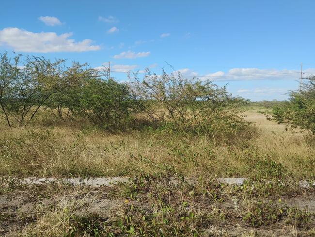 Lote Nº 58, Quadra "c" - Parque Progresso, localizado em Feira De Santana - BA, bairro Asa Branca