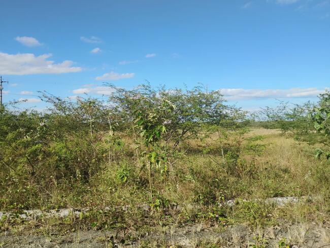 Lote Nº 59, Quadra "c" - Parque Progresso, localizado em Feira De Santana - BA, bairro Asa Branca