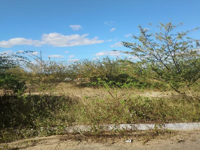 Lote Nº 61, Quadra "c" - Parque Progresso, localizado em Feira De Santana - BA, bairro Asa Branca
