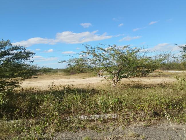 Lote Nº 64, Quadra "c" - Parque Progresso, localizado em Feira De Santana - BA, bairro Asa Branca