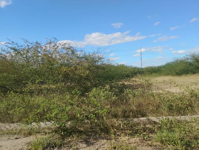 Lote Nº 71, Quadra "c" - Parque Progresso, localizado em Feira De Santana - BA, bairro Asa Branca