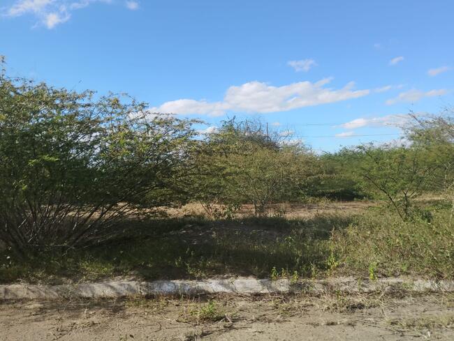 Lote Nº 73, Quadra "c" - Parque Progresso, localizado em Feira De Santana - BA, bairro Asa Branca