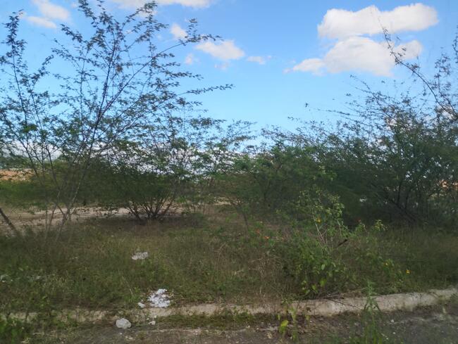Lote Nº 83, Quadra "c" - Parque Progresso, localizado em Feira De Santana - BA, bairro Asa Branca
