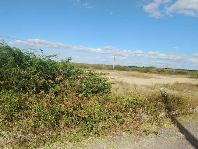 Lote Nº 20, Quadra "d" - Parque Progresso, localizado em Feira De Santana - BA, bairro Asa Branca