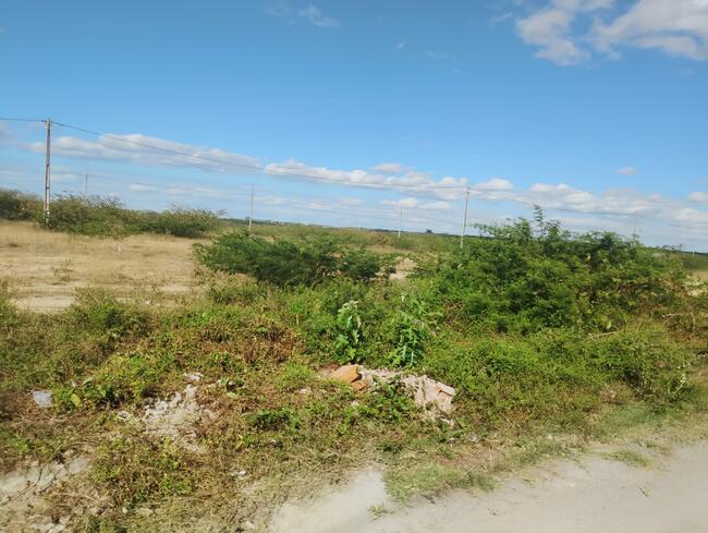 Lote Nº 21, Quadra "d" - Parque Progresso, localizado em Feira De Santana - BA, bairro Asa Branca