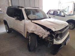 JEEP RENEGADE LIMITED AT / ANO FAB/MOD: 2018/2019