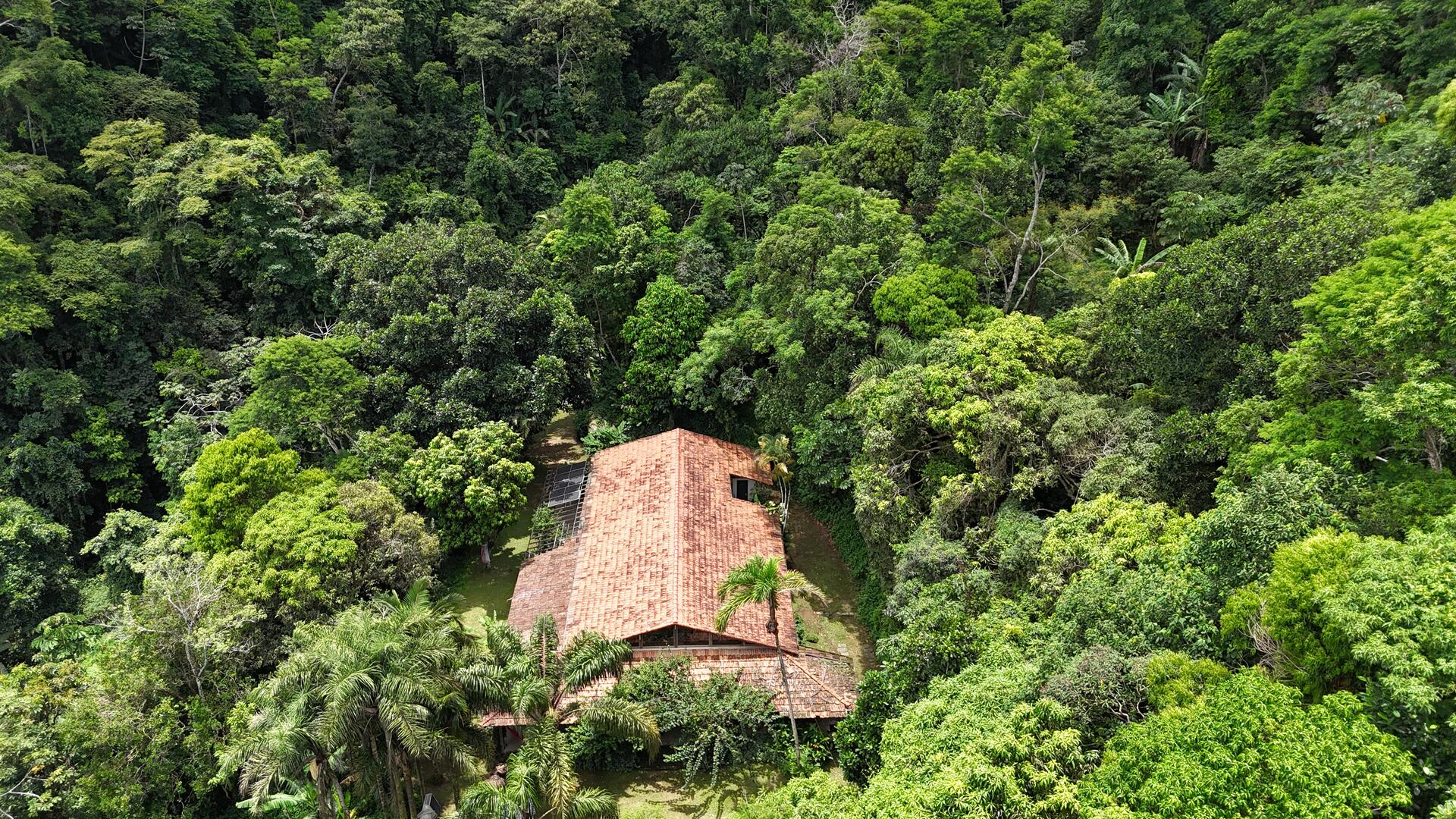 Capa do leilão ID 20