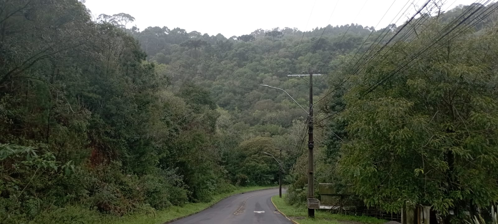 Área De Terras Com 7.639,60m² No Alpes Verdes, Canela/rs