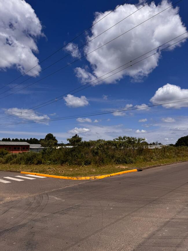 TERRENO DISTRITO INDUSTRIAL DE CANELA C/ 3.570m2 RUA JULIO TRAVI ESQUINA RADIAL SUL