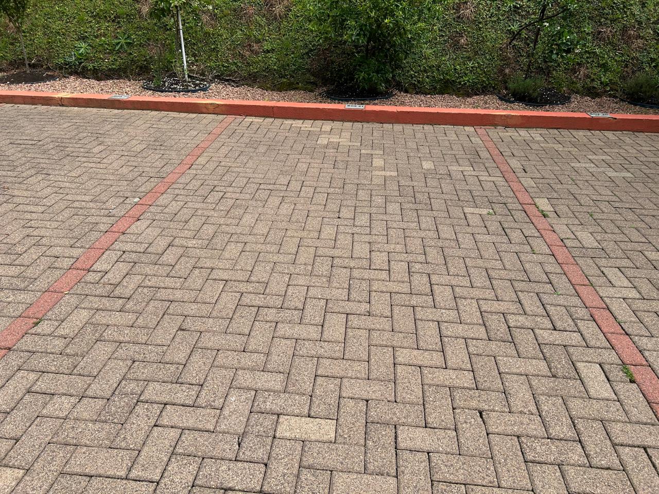 Capa do leilão ID 88