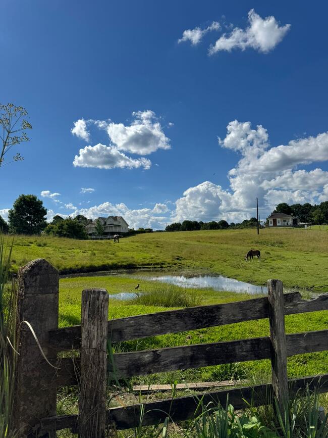 Fração Ideal de 10.000m² Loteamento Rancho Jane bairro Saiqui em Canela/RS
