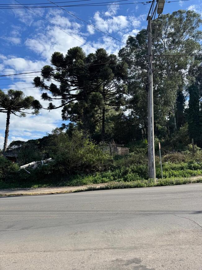 Foto de AREA DE 1.1441 HECTARES DE TERRAS NO BAIRRO SÃO LUIZ RUA LOUREIRO DA SILVA