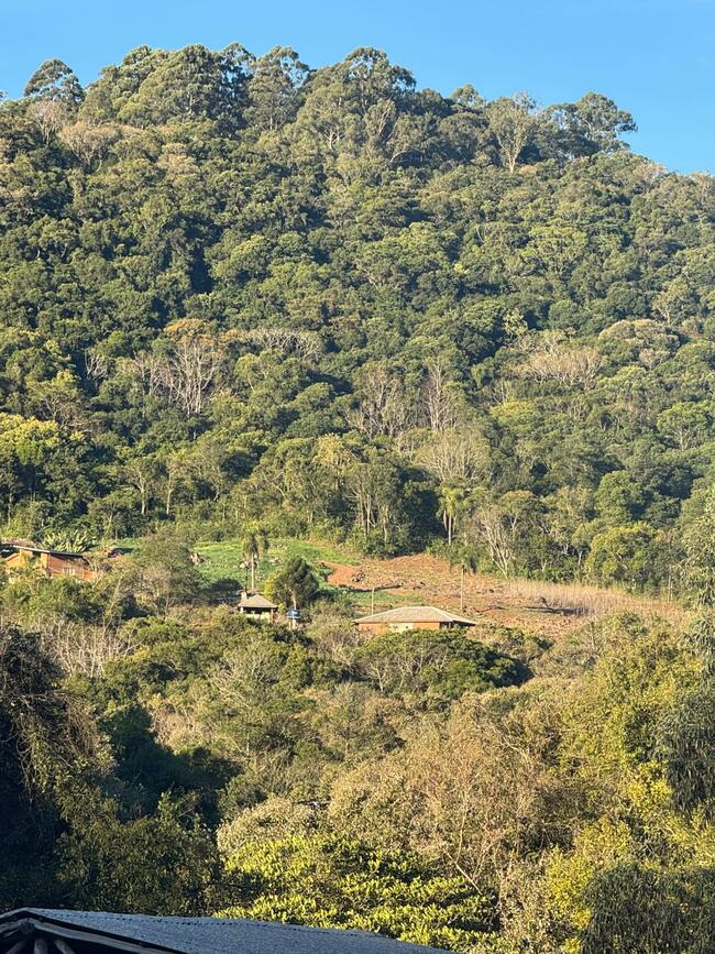 ÁREA DE 3 HECTARES NA VARZEA GRANDE, ESTRADA DO MOREIRA - GRAMADO/RS