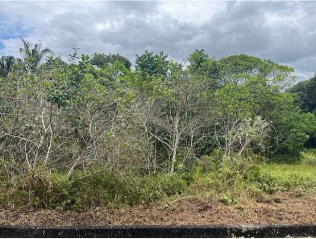 01 (um) Lote De Terreno, Matrícula 50.562, Localizado No Residencial Reserva De Alhandra, Lote 04, Quadra C, Bairro Fazenda Santo Antônio, Município De Alhandra/pb, localizado em Alhandra - PB, bairro Fazenda Santo Antônio