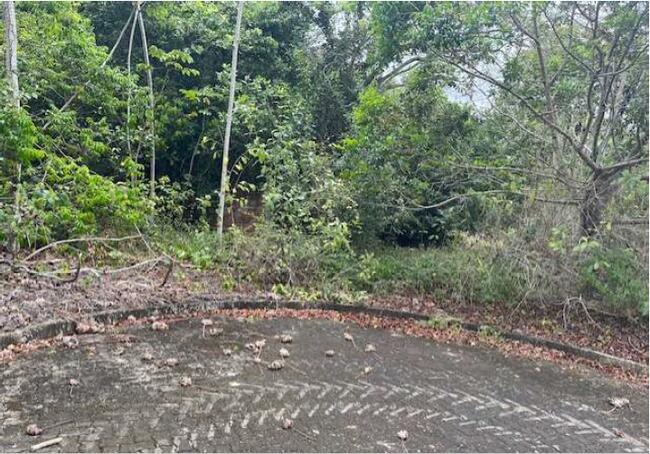 01 (um) Lote De Terreno, Matrícula 50.562, Localizado No Residencial Reserva De Alhandra, Lote 04, Quadra C, Bairro Fazenda Santo Antônio, Município De Alhandra/pb, localizado em Alhandra - PB, bairro Fazenda Santo Antônio