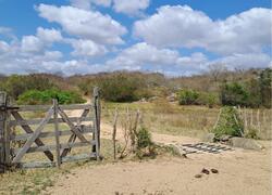 50% desconto Lote 10 COD. 624 Aberto para Lances Rural UMA PARTE DE TERRA, encravada na propriedade