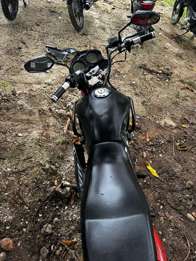 Foto Site