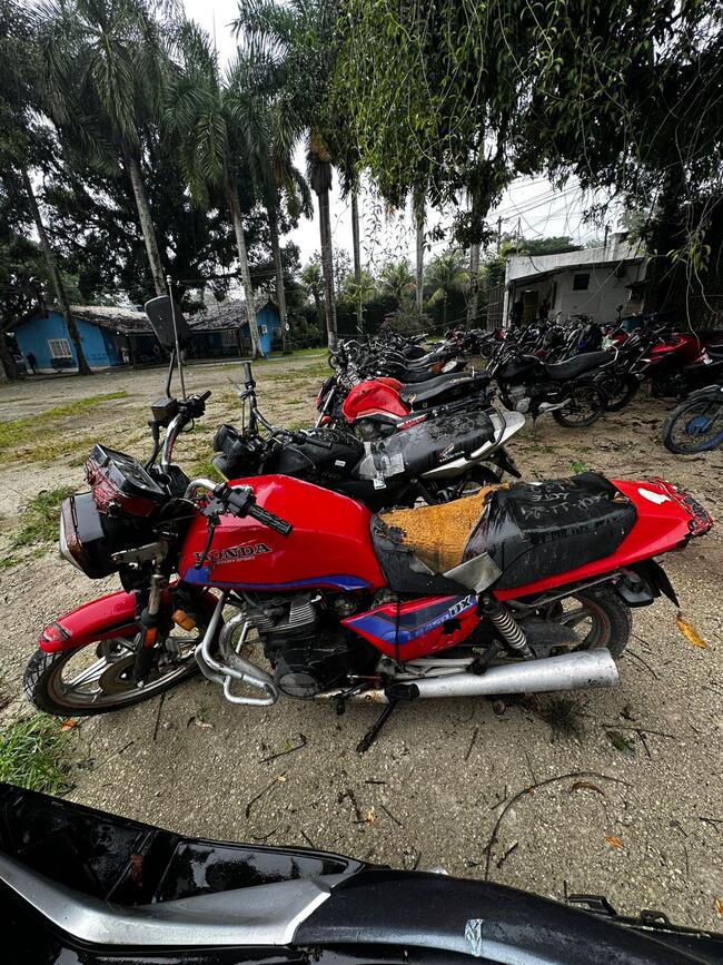 Foto Site