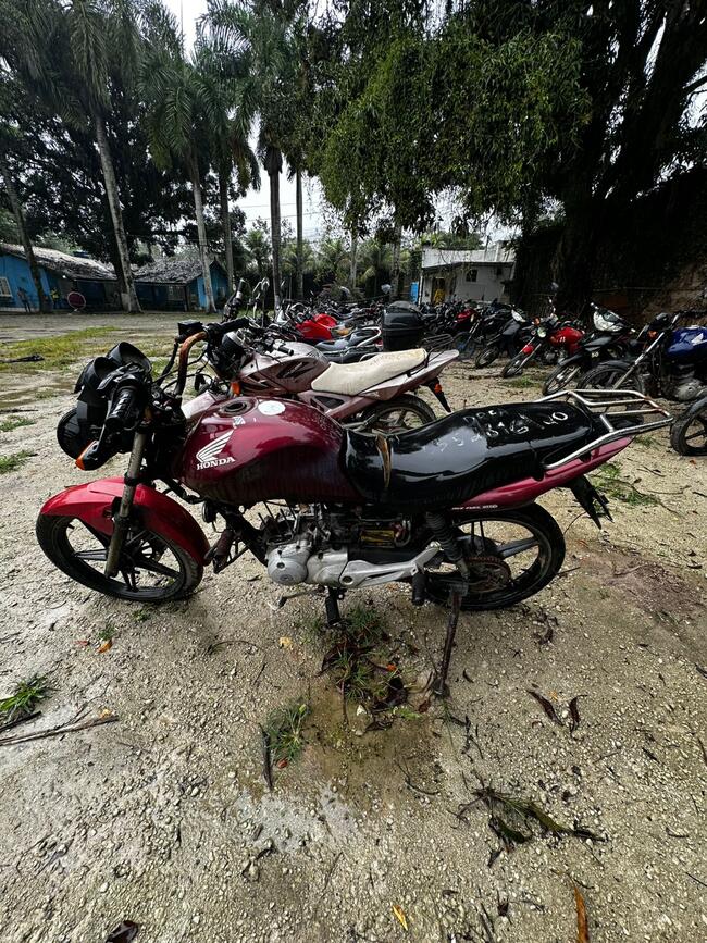 Foto Site